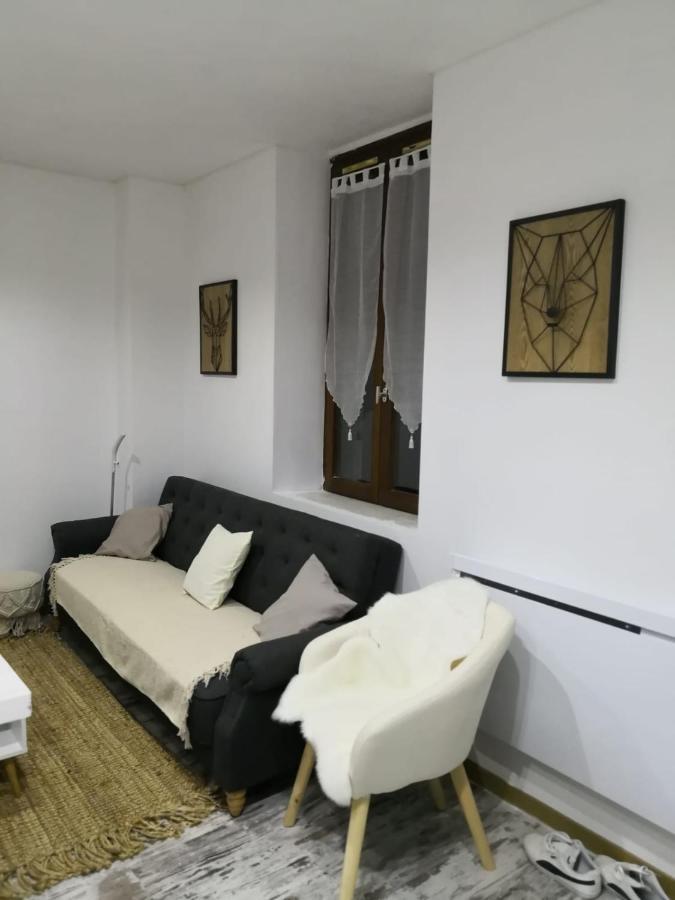 Studio Zen Et Cosy, Neuf En Pleine Ville Сен-Клод Экстерьер фото
